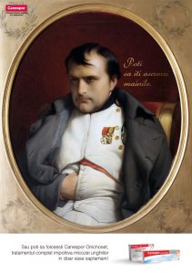 Canespor napoleon